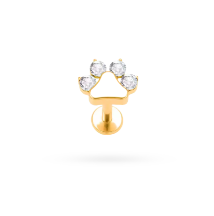 Piercing Judi Mini Paw